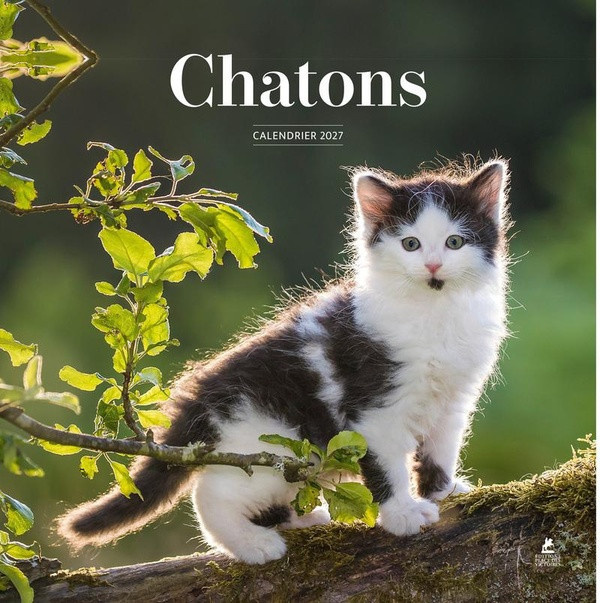 collectif-calendrier-2027-chatons_0