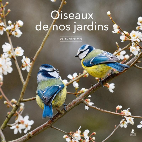 collectif-calendrier-2027-oiseaux-de-nos-jardins_0
