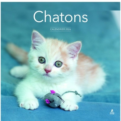 collectif-calendrier-chatons-2026_0