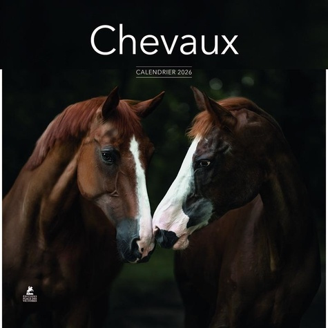 collectif-calendrier-chevaux-2026_0