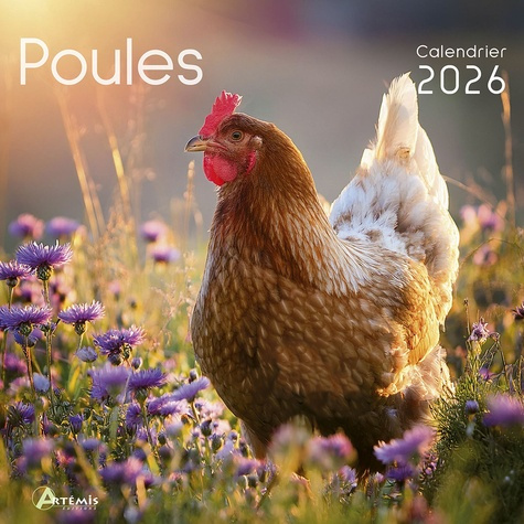 collectif-calendrier-poules-2026_0