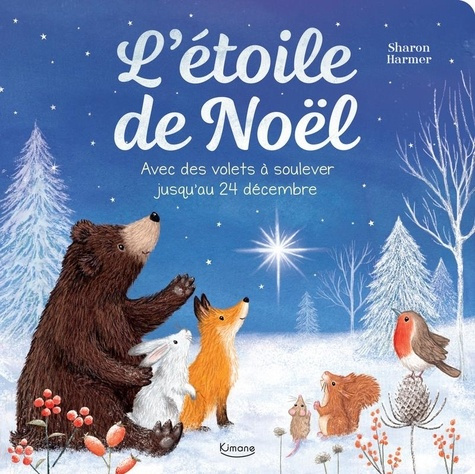collectif-harmer-l-etoile-de-noel-avec-des-volets-a-soulever-jusqu-au-24-decembre_0