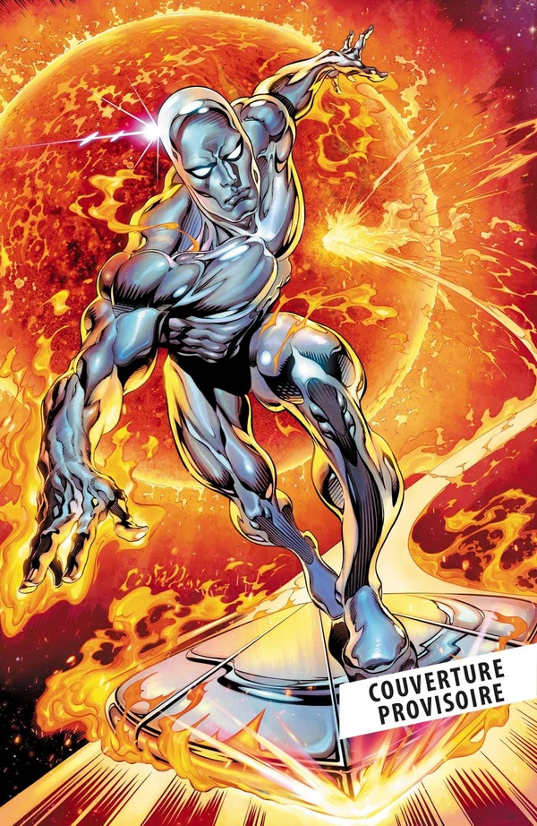 collectif-je-suis-silver-surfer_0