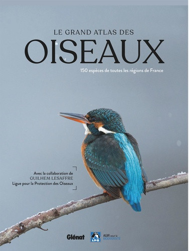collectif-le-grand-atlas-des-oiseaux-2e-edition_0