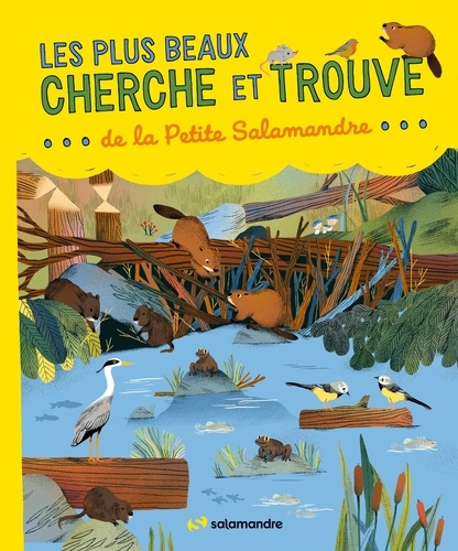 collectif-les-plus-beaux-cherche-et-trouve-de-la-petite-salamandre_0