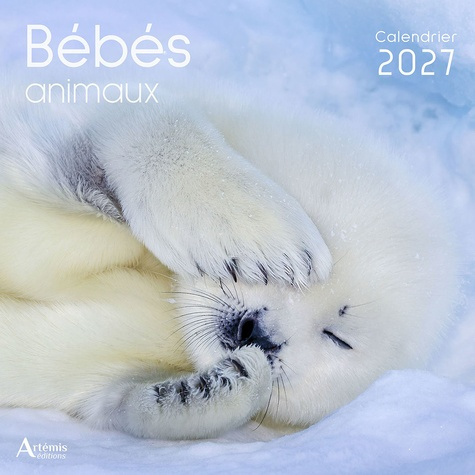 collectif-ouvrage-calendrier-bebes-animaux-2027-2027_0