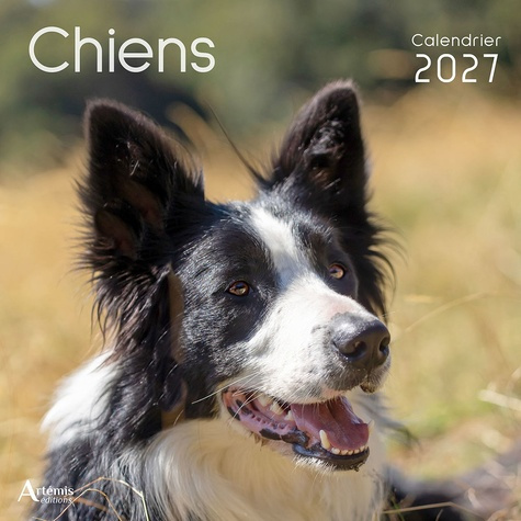 collectif-ouvrage-calendrier-chiens-2027-2027_0