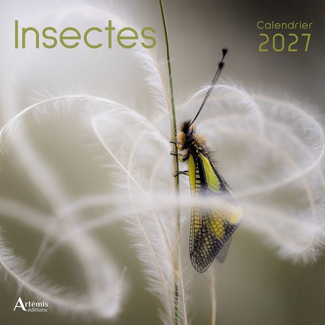 collectif-ouvrage-calendrier-insectes-2027-2027_0
