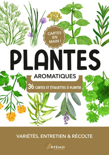 collectif-ouvrage-plantes-aromatiques_0