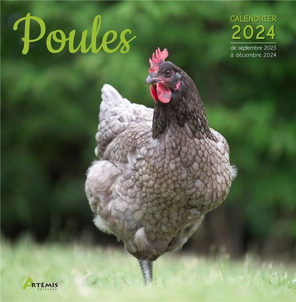 collectif-poules-calendrier-de-septembre-2023-a-decembre-2024-edition-2024_0