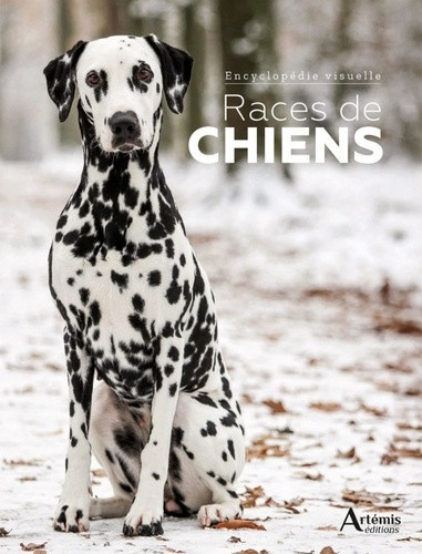 collectif-races-de-chiens_0