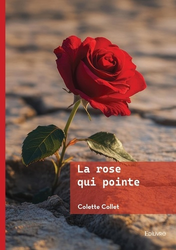 collet-colette-la-rose-qui-pointe_0