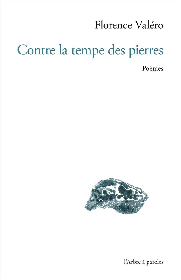 contre-la-tempe-des-pierres_0