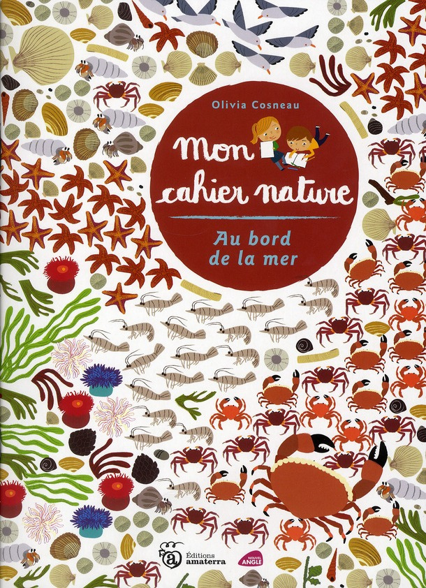 cosneau-olivia-au-bord-de-la-mer_0