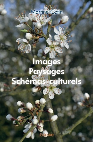 cotin-martine-images-paysages-schemas-culturels_0
