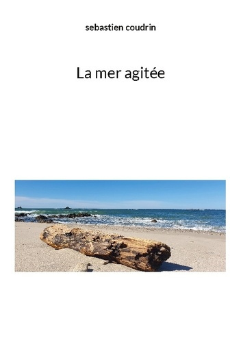 coudrin-sebastien-mer-agitee_0