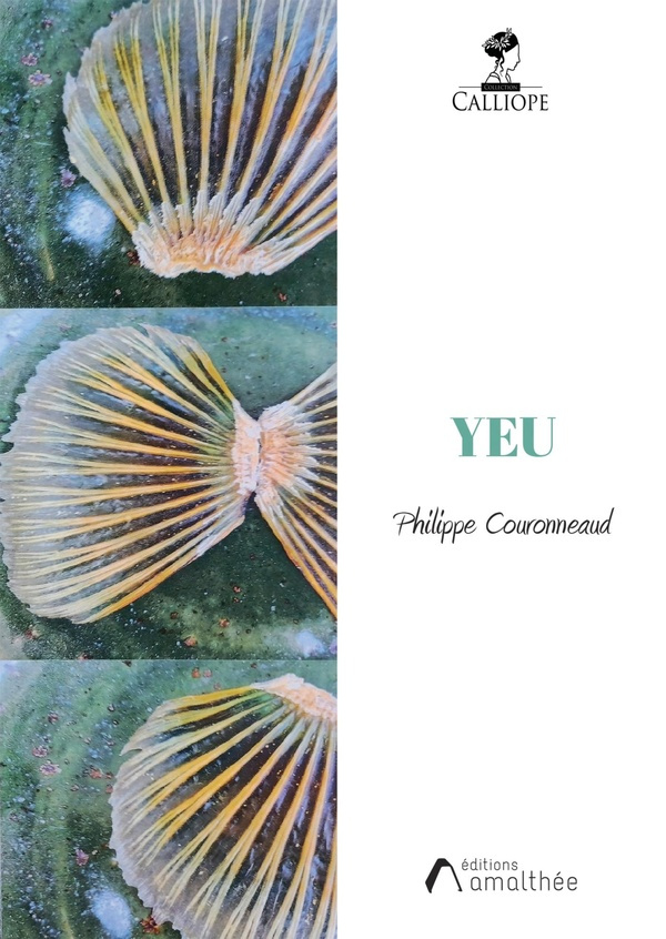 couronneaud-philippe-yeu_0