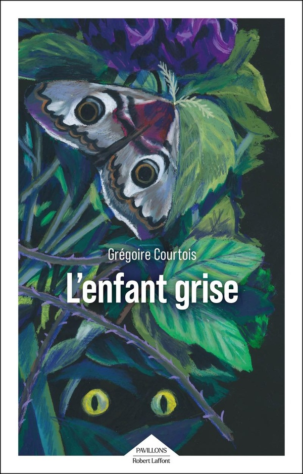 courtois-gregoire-l-enfant-grise_0