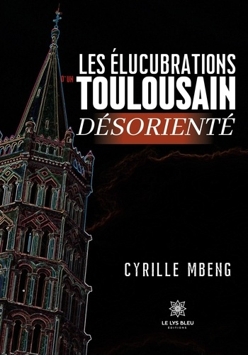 cyrille-mbeng-elucubrations-d-toulousain-desoriente_0