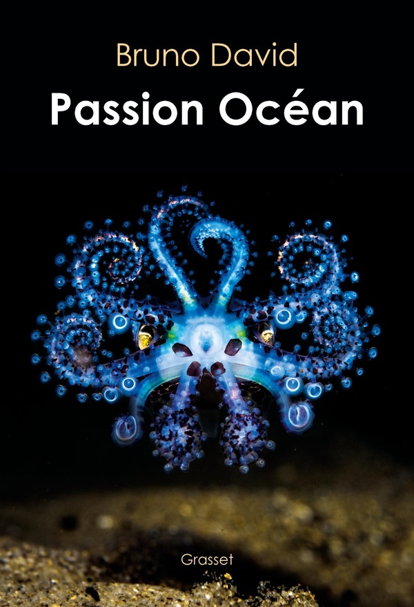 david-bruno-passion-ocean_0