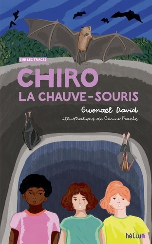 david-gwenael-tillon-laurent-prache-chiro-la-chauve-souris_0