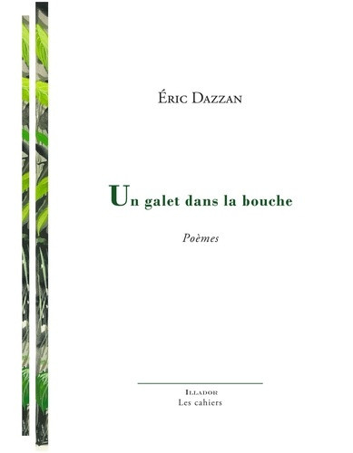 dazzan-eric-un-galet-dans-la-bouche_0