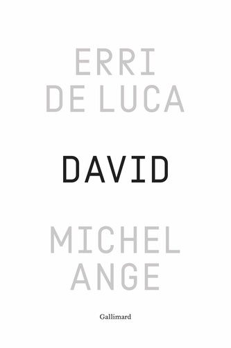 de-luca-erri-michel-ange_0