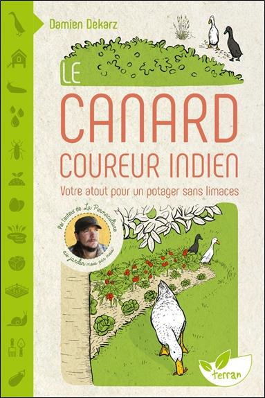 dekarz-damien-le-canard-coureur-indien-votre-atout-pour-un-potager-sans-limaces_0