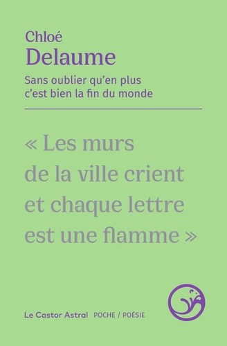 delaume-salvayre-sans-oublier-qu-en-plus-c-est-bien-la-fin-du-monde_0