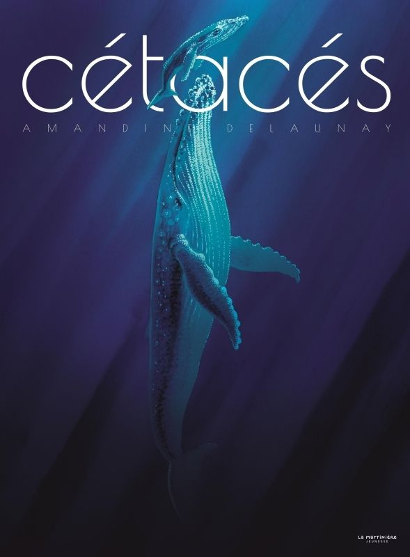 delaunay-amandine-cetaces_0
