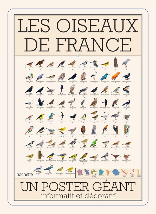 dellerie-florence-oiseaux-de-france_0
