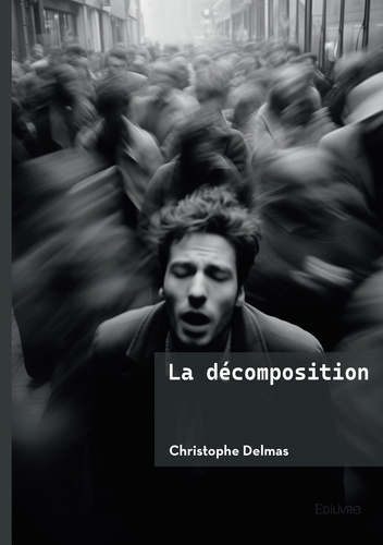 delmas-christophe-la-decomposition_0