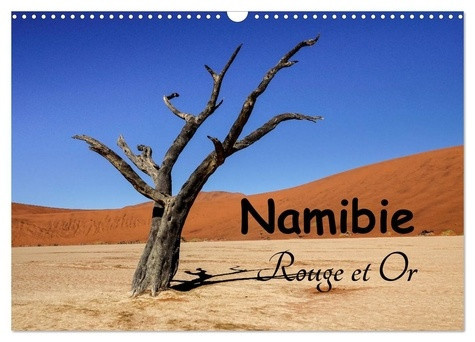 denis-michel-namibie-rouge-et-or-calendrier-mural-202-michel-denis-photographe-et-cu_0