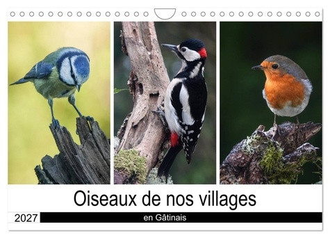 denis-michel-oiseaux-de-nos-villages-en-gatinais-cale-photographies-d-oiseaux-que-l_0