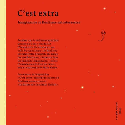 desbordes-chrystelle-bruno-christophe-te-c-est-extra-imaginaires-et-realisme-extrat_0