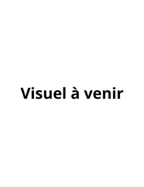despoisse-sarah-31-projets-pour-un-automne-cosy_0