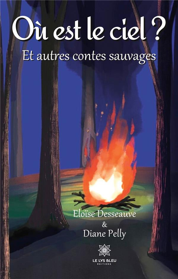 desseauve-eloise-3b-pelly-diane-ou-est-le-ciel-et-autres-contes-sauvages_0