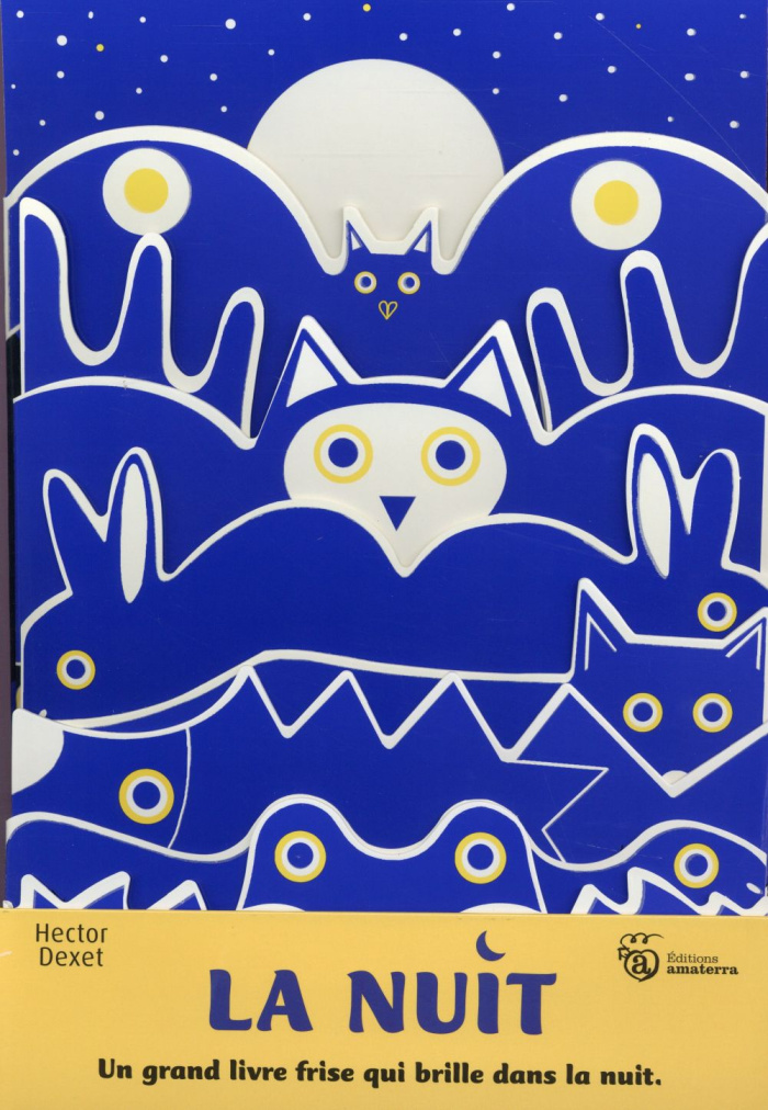 dexet-hector-la-nuit-un-grand-livre-frise-qui-brille-dans-la-nuit_0