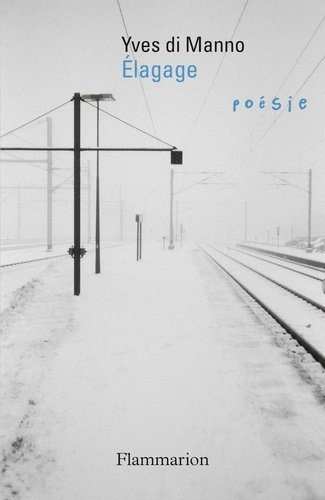 di-manno-yves-elagage_0