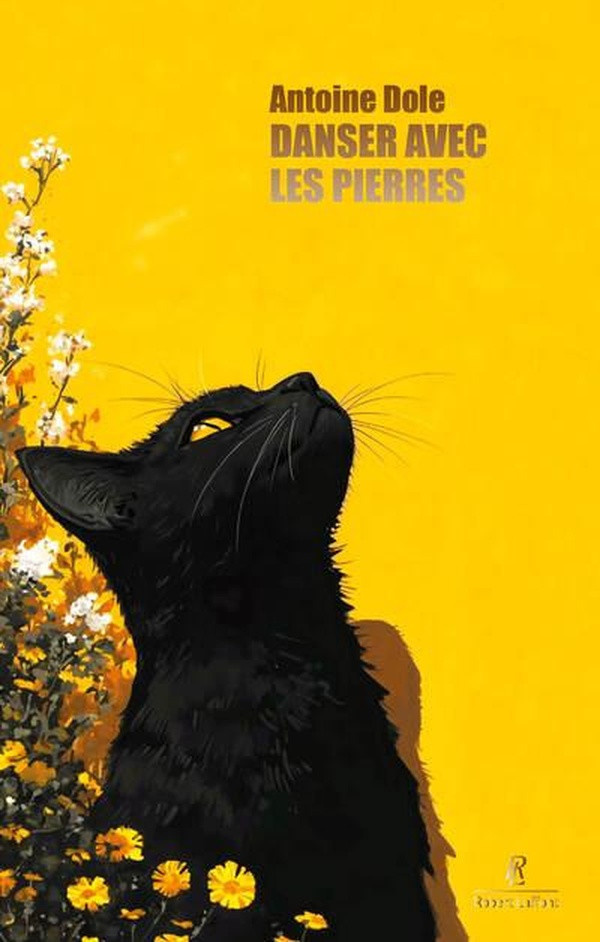 dole-antoine-danser-avec-les-pierres_0