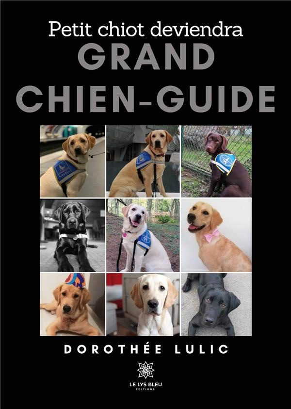 dorothee-lulic-petit-chiot-deviendra-grand-chien-guide_0