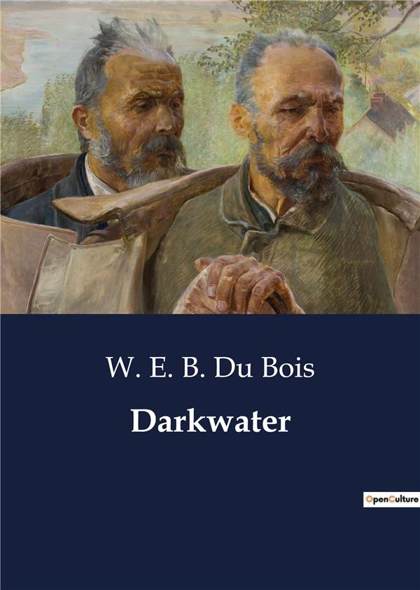 du-bois-w-e-b-darkwater_0