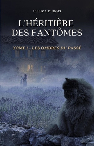 dubois-jessica-l-heritiere-des-fantomes-tome-1-les-ombres-du-passe_0