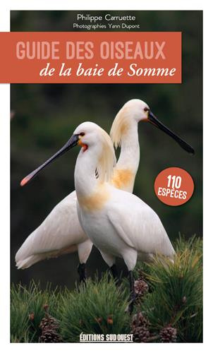 dupont-yann-guide-des-oiseaux-de-la-baie-de-somme_0