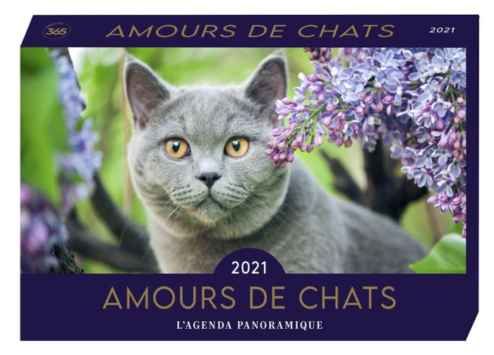 editions-365-amours-de-chats-edition-2021_0