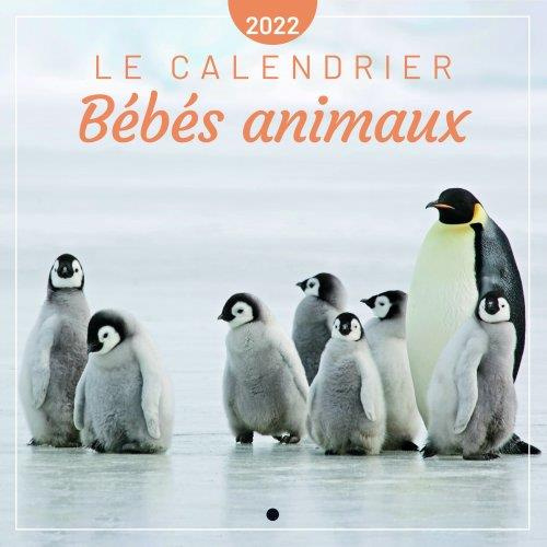 editions-365-le-calendrier-bebes-animaux-edition-2022_0