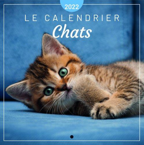 editions-365-le-calendrier-chats-edition-2022_0