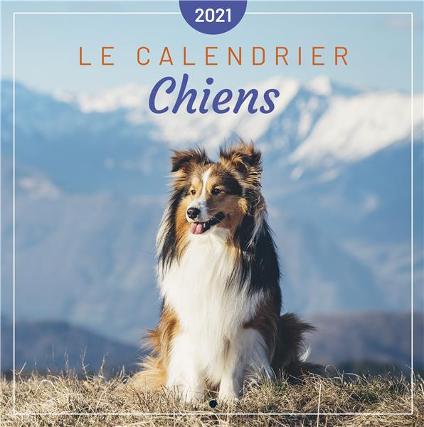 editions-365-le-calendrier-des-chiens-edition-2021_0