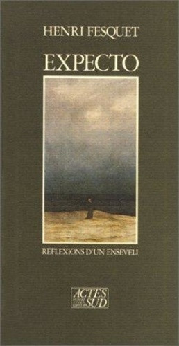 fesquet-henri-expecto-ou-les-reflexions-d-un-enseveli_0
