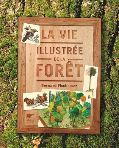 fischesser-bernard-3b-cazalis-alain-3b-mattei-cazali-la-vie-illustree-de-la-foret_0
